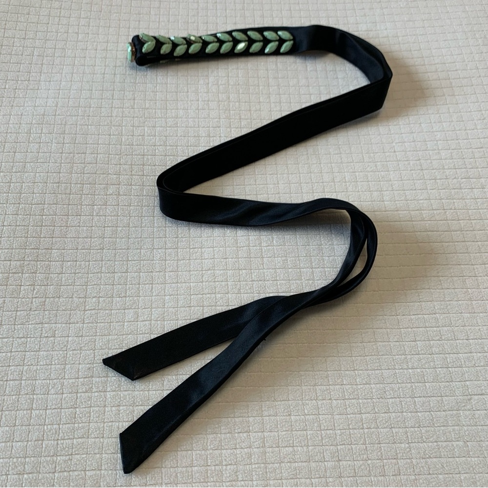 J Crew beaded ribbon sash belt - Picture 5 of 9